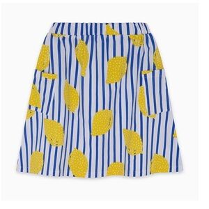 Striped Blue & Yellow Lemon A-Line Skirt